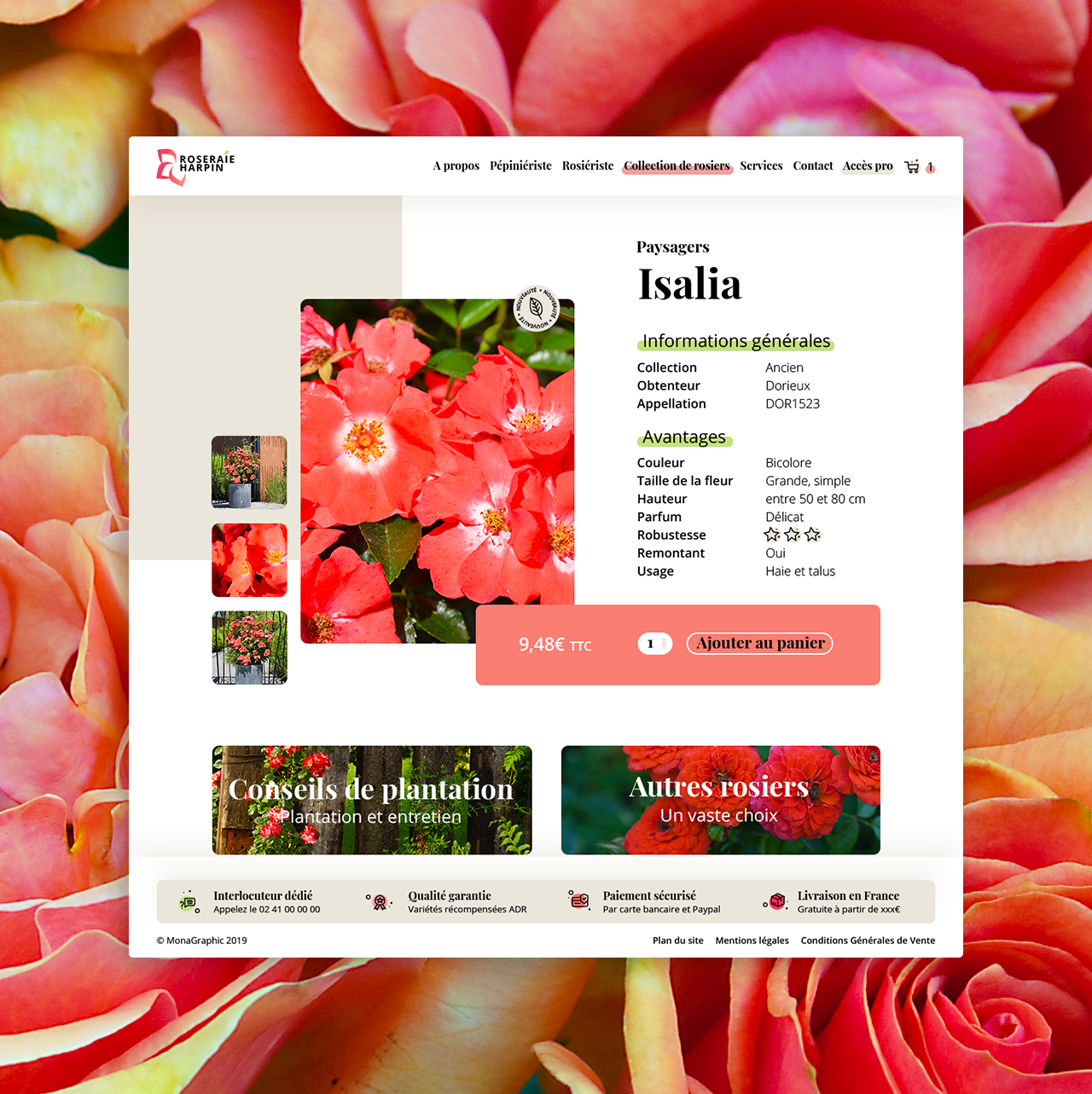 Page produit Roseraie Harpin